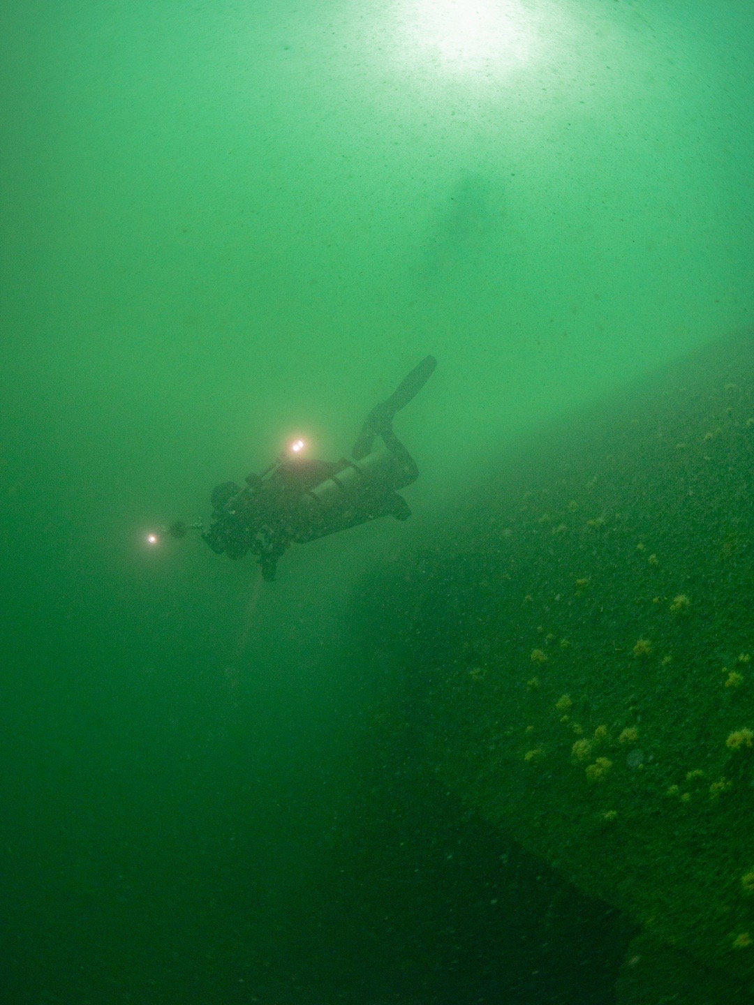mutsu-battleship-diving