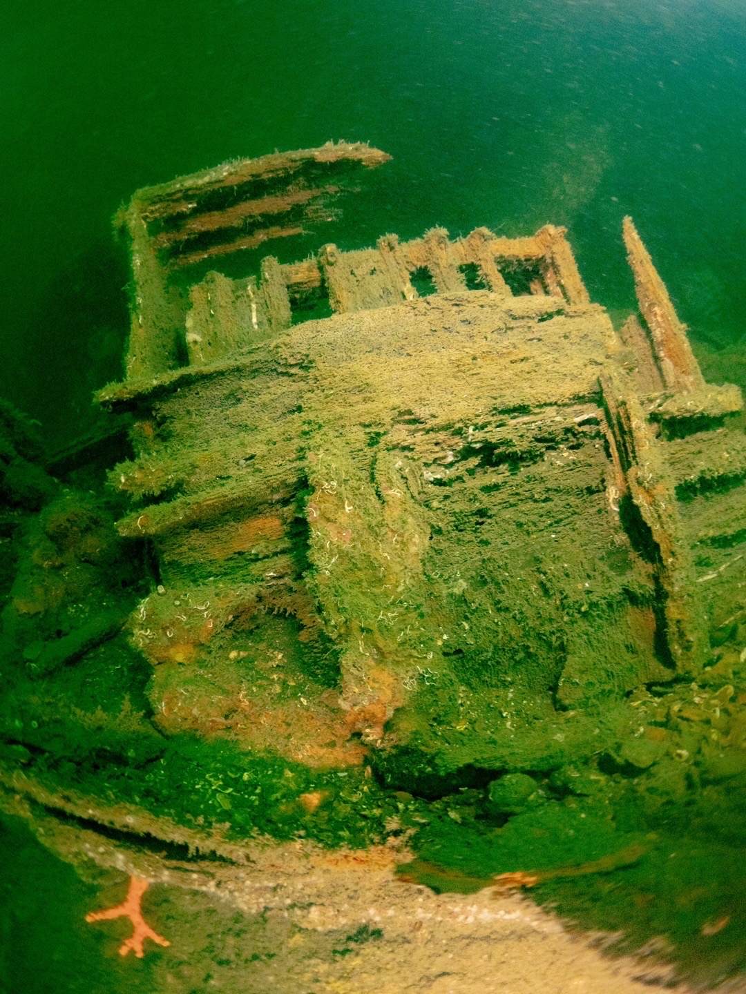 mutsu-battleship-diving