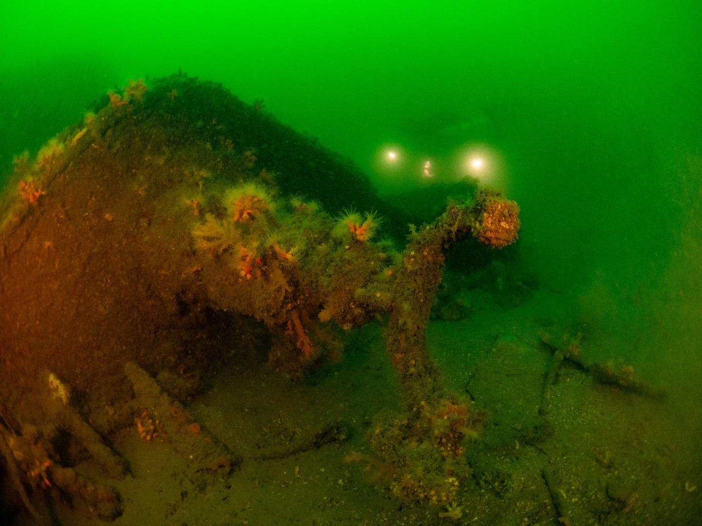 mutsu-battleship-diving