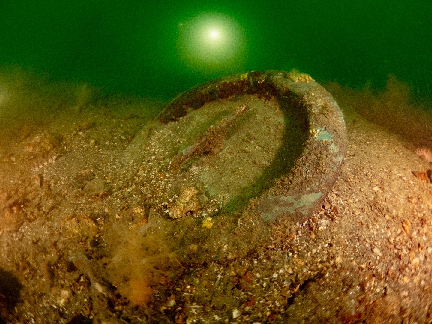 mutsu-battleship-diving