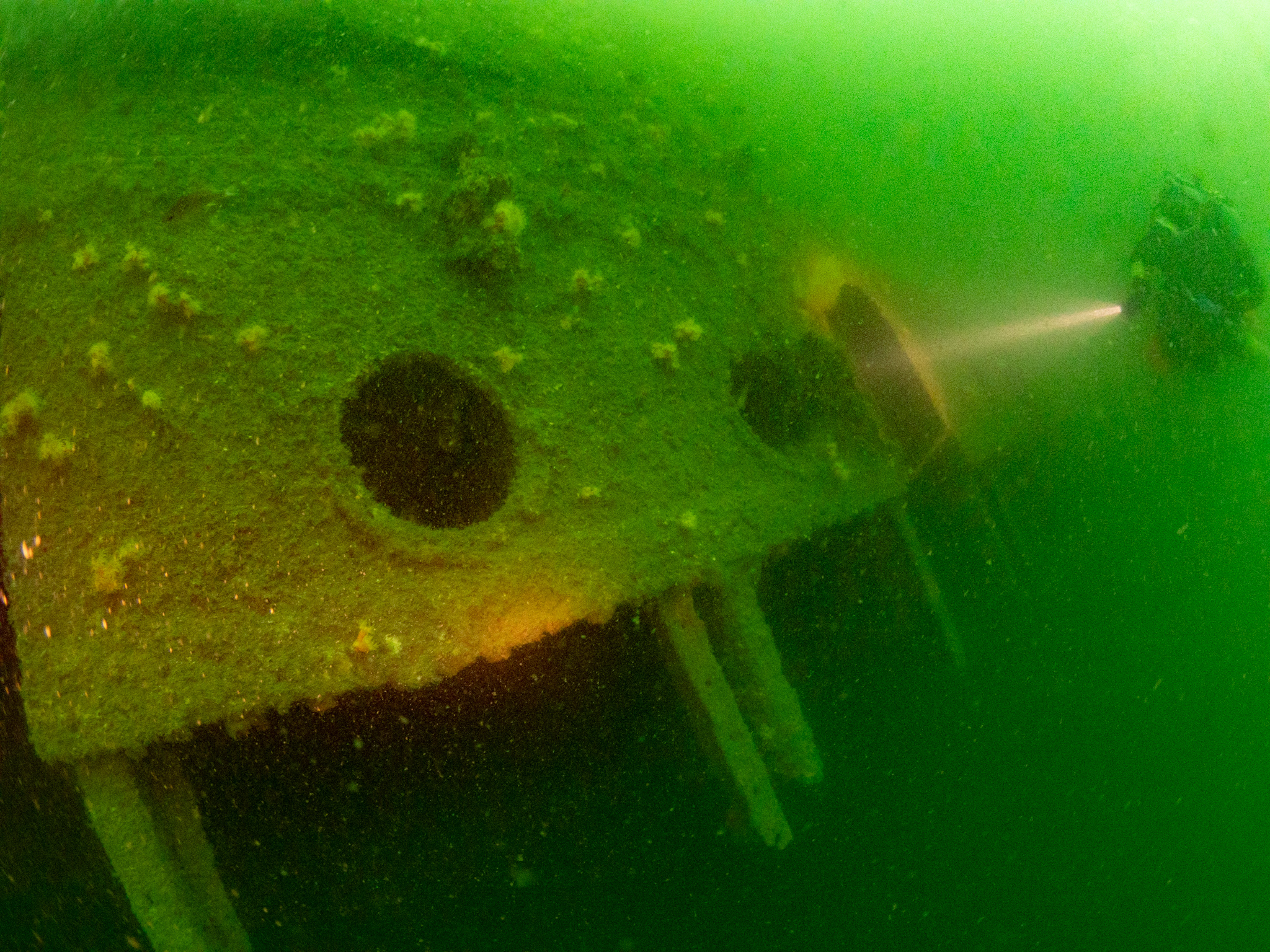 mutsu-battleship-diving