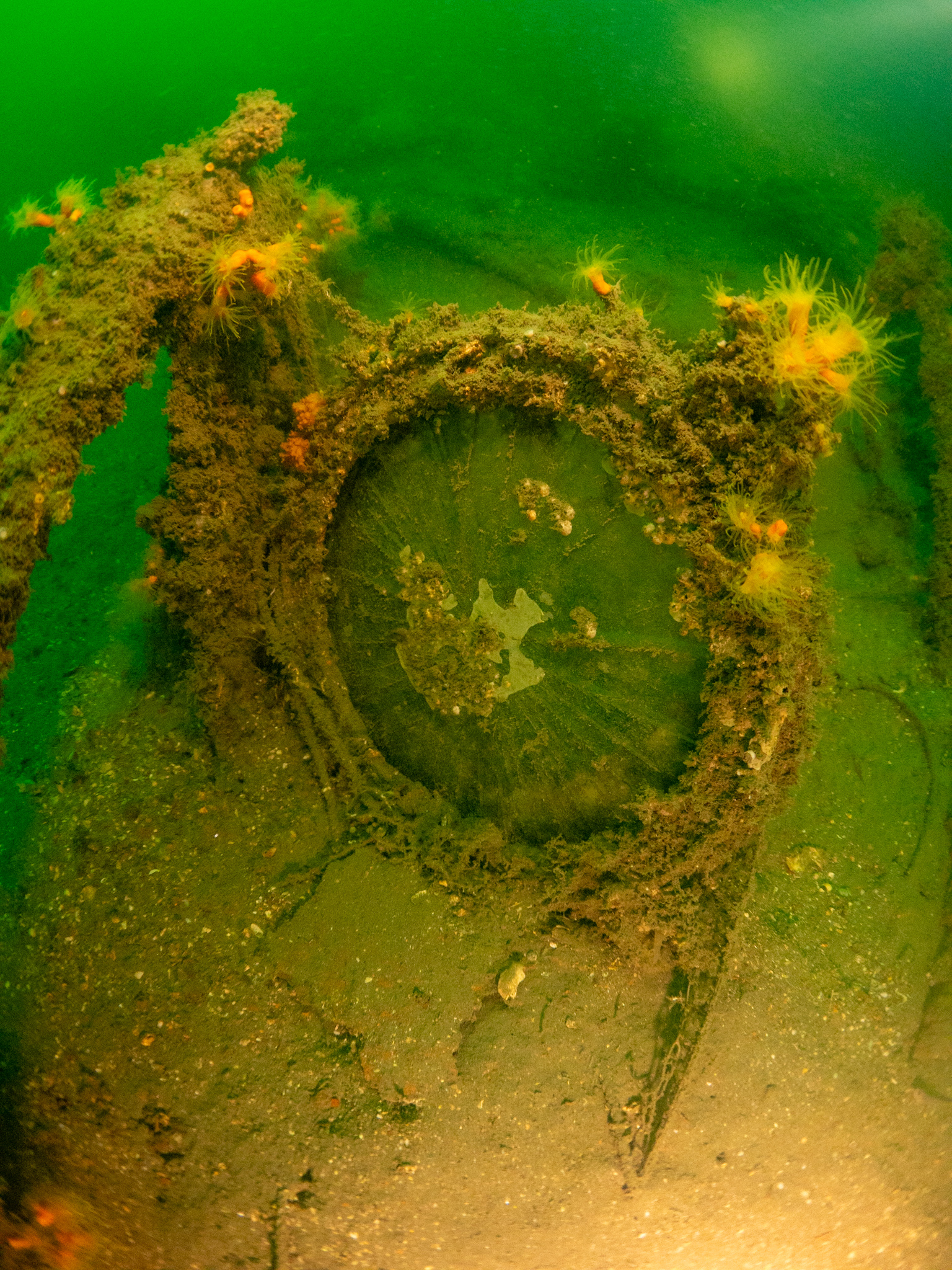 mutsu-battleship-diving